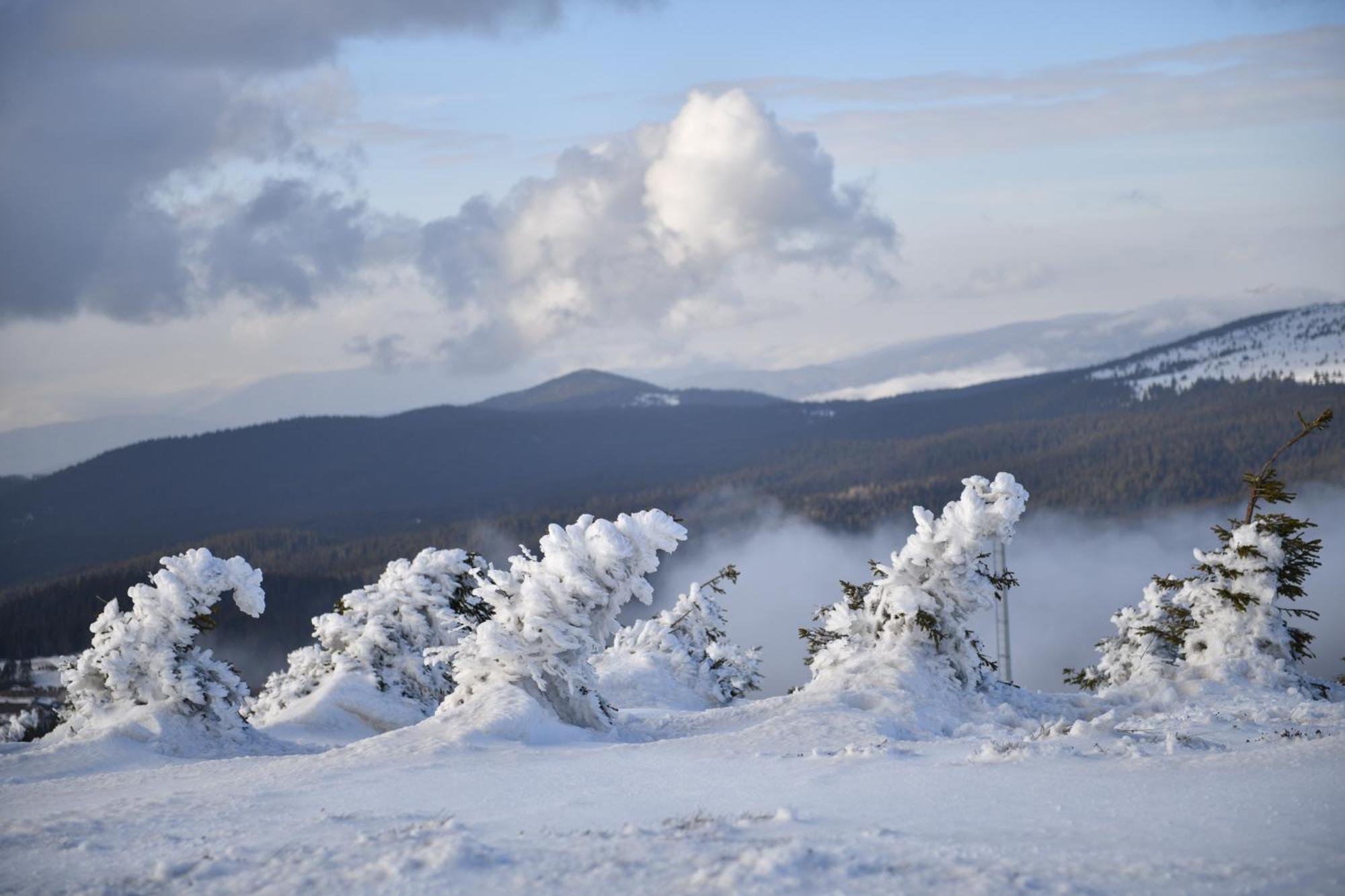 Jollykop Apartments Kopaonik Bagian luar foto